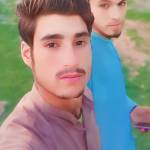 Rowedar Ahmad Profile Picture