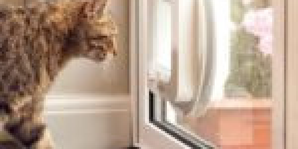 The No. One Question That Everyone In Cat Flap Installation Tips Needs To Know How To Answer